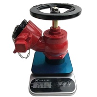 Vanne d'arrêt flexible en alliage d'aluminium de 2,5'' à réduction de pression, type britannique, oblique/angulaire, pour hydrant d'incendie