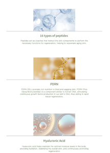 Sérum Éclat Coréen au Collagène en Poudre – Soin Hydratant et Raffermissant – Kit Premium 5 Flacons - Product Image 6