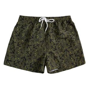 Pantalones Cortos Deportivos para Hombre, de Secado Rápido, con Estampado Tropical, de Malla, para Playa, a Rayas, Impermeables, para Verano - Product Image 2