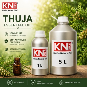 Aceite Esencial de Thuja de Grado Industrial (Thuja occidentalis), Fabricante a Granel, Certificado Orgánico, Grado Cosmético, Exportador Global - Product Image 1