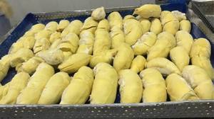 Durian Congelado Premium para Exportación, Fruta Tropical Congelada, Suministro Directo de Fábrica - Product Image 4