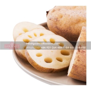 Raíz de loto de gran calidad, producto de exportación de alimentos de Vietnam - Product Image 2