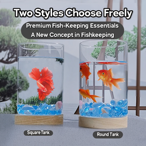 Aquarium de bureau créatif en verre pour betta avec base lumineuse LED, décor en perles de cristal de glace, mini-bol aquascape, ensemble complet - Product Image 5