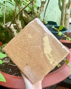 Bloc de bambou ECO2GO VIETNAM en gros, 650 grammes, brique organique pour plantes, mélange de terreau pour jardinage et rempotage, idéal pour cadeaux - Product Image 4