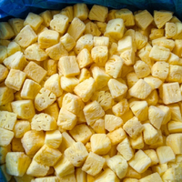 Premium IQF Diepvries Ananas Schijfjes (Stukjes/Blokjes/Dobbelstenen) Vietnam Bulk 20kg 24 Maanden Houdbaarheid OEM Darlac Farms Vacuüm Verpakt