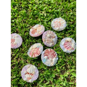 Seashell mirror natural seashell and resin frame material for vanity decoration home interior accent Vietnam supplier - Product Image 2