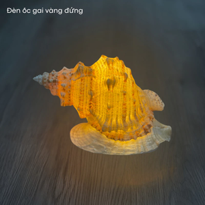 Coastal Shell Night <b>Light</b> With Seashells Coral LED Warm White Plug In Decorative Lamp For Home Weeding Gift Shell Night Lamps - Product Image 5