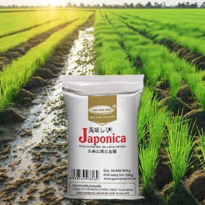 Vietnam Export-Protected Eco-Friendly <b>Compost</b> Storage Woven Plastic <b>Bags</b> Recyclable PP Rice Flour Packaging with Flexo Printing - Product Image 5