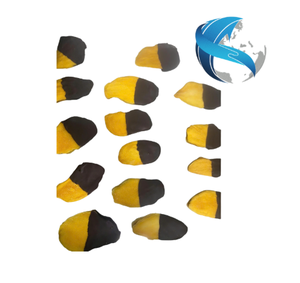 Premium Chocolate Covered Soft <b>Dried</b> <b>Mango</b> Made from Selected Tropical Fruits Wholesale Export Product - Product Image 1