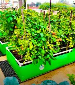 Black LDPE Grow Bags for Seedlings Breathable <b>Plastic</b> <b>Plant</b> <b>Pots</b> 18 gallon grow bags - Product Image 2
