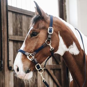 Outdoor Sports Horse Riding Equine Products Plain Padded Horse Head Collar <b>Halters</b> From Premium Supplier for Equestrian Sports - Product Image 3