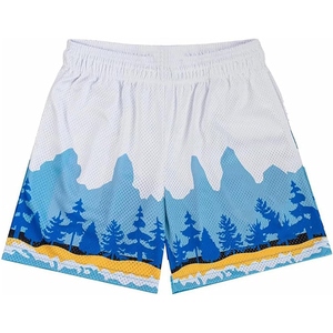 Shorts de sport pour homme, imprimés graphiques, en mesh léger, style basketball, respirants, pour l'entraînement en salle de sport, été - Product Image 6