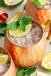 Hammered Copper Mug <b>Set</b> Velvet Meadow Reusable Premium Party <b>Beverage</b> <b>Serving</b> Mugs Durable Finish Eco-Friendly Heat Resistant - Product Image 1