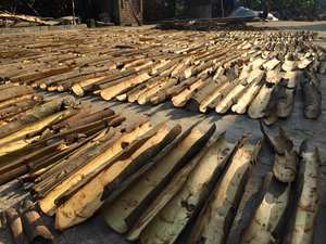 Tube de cannelle / bâton de cannelle du Vietnam (certificat CE / UE) |   Melina - Product Image 2