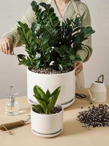 Pot de fleurs décoratif en céramique au design contemporain, pot de fleurs en céramique de haute qualité pour une présentation élégante des plantes - Product Image 5