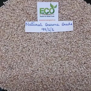 Graines de sésame blanches, naturelles et pures, d'origine indienne, fournisseur en gros - Product Image 2