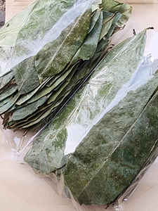 Dried Soursop Leaf Cut 3 5cm For <b>Tea</b> <b>Bag</b> Production And Private Label Vietnam - Product Image 3