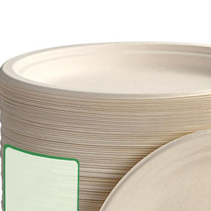 Platos Desechables de Alta Calidad, OEM ODM, Venta al por Mayor, Hechos en Pakistán, Ligeros, con Logotipo Personalizado - Product Image 5