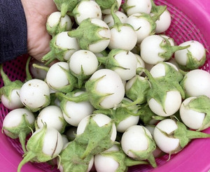 Berberechos encurtidos blancos naturales, dulces y ácidos, en rodajas, textura crujiente, en frasco de vidrio de 800g, listos para servir - Product Image 3