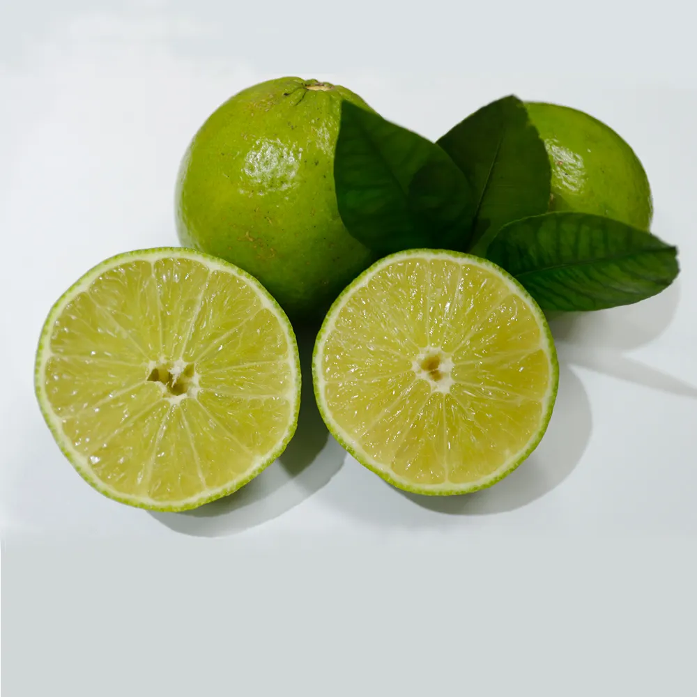 Vietnam'dan toplu olarak % 100% doğal ürünler toptan yüksek kaliteli taze yeşil limon