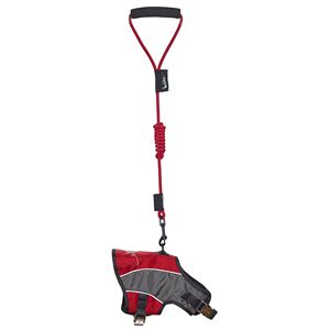 Pettorina e Guinzaglio Riflettenti 2-in-1 Premium per Cani, Regolabili per un Comfort Ottimale per Animali Attivi - Product Image 1