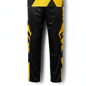 Kit de cricket professionnel personnalisé, maillot et pantalon entièrement sublimés, vêtements de sport haute performance, fabricant, commande en gros, équipement de cricket - Product Image 4