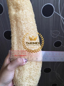 Natural Dried Whole Cutting Loofah From Vietnam Loofah Sponge Very High Quality and OEM Packing - Product Image 3