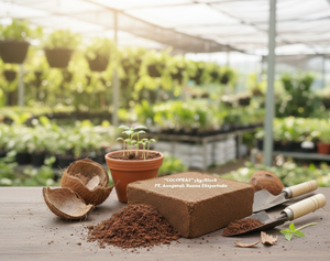 Bloque de Fibra de Coco (Cocopeat) para Cultivo, Apoya la Agricultura Sostenible con Fibras Orgánicas Limpias para Resultados de Cultivo Confiables - Product Image 1