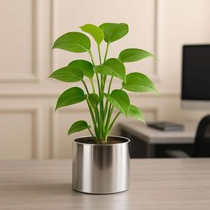 High Quality Stainless Steel Planter Pots Mirror Finish Bulk Modern Rust Resistant Indoor Outdoor Plant Pots for Balcony Garden - Product Image 4