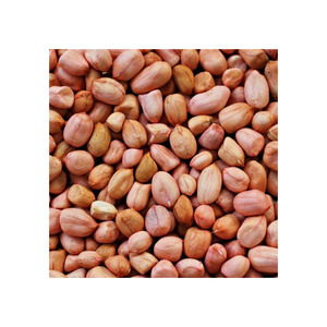 Approvisionnement en vrac d'arachides adaptées aux fabricants et exportateurs agroalimentaires - Product Image 4