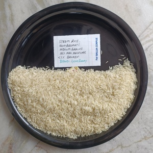 Arroz Basmati Orgánico Fresco de Grano Mediano LyonsBarry, Aromático, Cremoso, Blanco, 95% Listo para Cocinar, 5 Años de Duración, Haryana Jute Bopp - Product Image 4