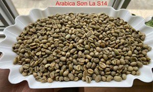 Granos de Café Verde de Especialidad con Proceso Natural de Vietnam, Granos de Café de la Mejor Calidad al Mejor Precio en 2026 - Product Image 5