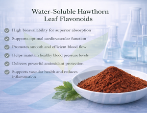 Approvisionnement direct d'usine HGO d'extrait de feuille d'aubépine naturel pur (Crataegus pinnatifida) flavonoïdes de feuille d'aubépine solubles dans l'eau - Product Image 2