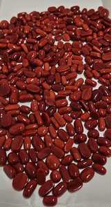 Coral rouge italien naturel, coupe ovale plate, meilleure qualité, meilleure couleur, pierre précieuse, pierre précieuse en vrac pour la création de bijoux - Product Image 2