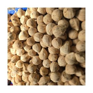 Top Quality <b>Semi</b> <b>Husked</b> <b>Coconut</b> Cheap Wholesale Price <b>Fresh</b> Light Color Bright Skin Premium Factory Bulk Supply New - Product Image 1