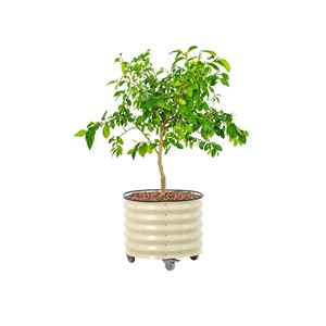 Vases et pots à fleurs en MDF, fabrication sur mesure, vente en gros |   Aqdus Saleem Inde - Product Image 4