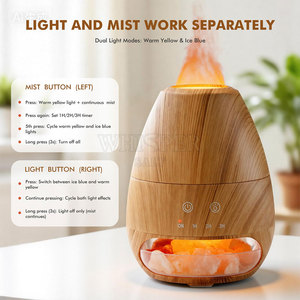 Diffuseur d'arômes en sel de l'Himalaya de qualité supérieure, design moderne sculpté, taille et logo personnalisables, origine Pakistan, finition roche naturelle - Product Image 6