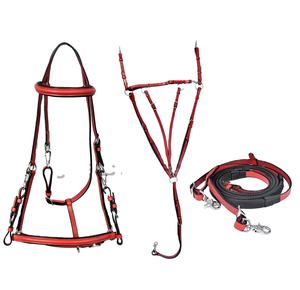 Ensemble de bridon de luxe en cuir rouge et noir pour cheval, avec peitorale et rênes |   Équipement d'équitation rembourré sur mesure pour l'équitation - Product Image 1