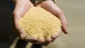Farine de soja fermentée à sec KNG 3-5mm Jaune naturel 25kg 50kg 600kg Alimentation animale pour bovins, porcs, volailles, moutons, chèvres - Product Image 6