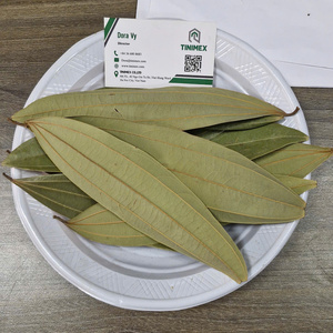 Hojas de Canela Secas de Vietnam Premium, 100% Naturales, 24 Meses de Duración, Empaque a Granel para Importadores, Mayoristas y Comerciantes Globales - Product Image 6