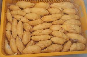 Oferta caliente 2024 Durian congelado de Vietnam de alta calidad - Product Image 4