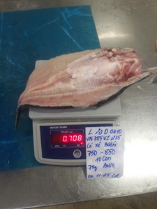 Filete de Panga Sibearia Congelado IQF con/sin Piel, con 0-20% de Glaseado de Hielo, Cabeza y Aletas, Bajo en Carbohidratos, de Vietnam, Tipo Mariposa, VH Food, Caja a Granel de 10 kg - Product Image 3