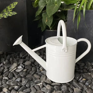 Regadera de Jardín con Cabezal de Aspersión para Plantas Bonsái, Regadera de Plástico Blanca para Jardinería Interior y Exterior - Product Image 3