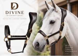 Harnais en cuir pour chevaux, équipement équestre professionnel en gros de Divine International Uttar Pradesh - Product Image 4