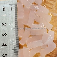 Bulk Premium Low-calorie Fruitige Nata De Coco Kokosgelei Gezonde Kindersnack Lychee Gratis Logo Halal Gecertificeerd Vietnam