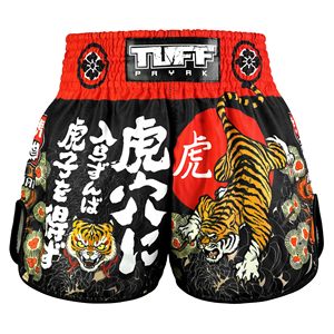 <b>Men</b> Muay Thai <b>Shorts</b> Satin No Gi Elastic Waist Drawstring Gym Lightweight Printed Training Colorful Top top <b>mens</b> muay thai - Product Image 1
