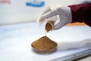 Calidad de exportación Arroz DDGS Grado natural puro Cantidad a granel disponible suministrada por exportadores indios de confianza - Product Image 6