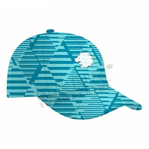 Gorras Deportivas Ajustables de Última Moda, Gorras Deportivas con Logotipo Personalizado, Gorras Deportivas de Alta Calidad - Product Image 2