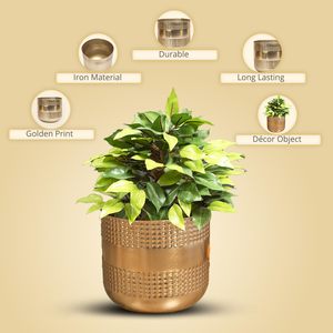 Flower Vase for Fresh & <b>Artificial</b> Flowers Handmade Display Flower Vase Top Trending Decorative Floor Table Decor Available <b>Best</b> - Product Image 3