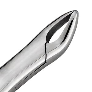 Forceps d'extraction dentaire américains n° Instrument chirurgical manuel en acier inoxydable 62 pour l'extraction des molaires supérieures et inférieures - Product Image 4